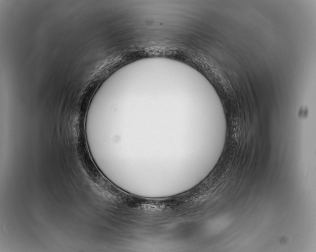 X0000099460690200806061129