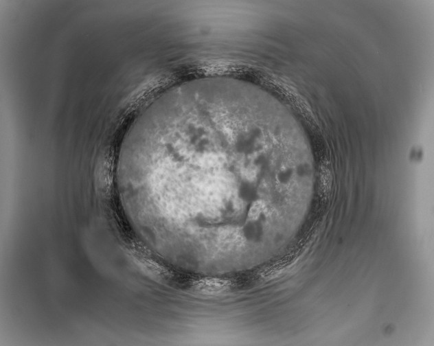 X0000099460691200806061129