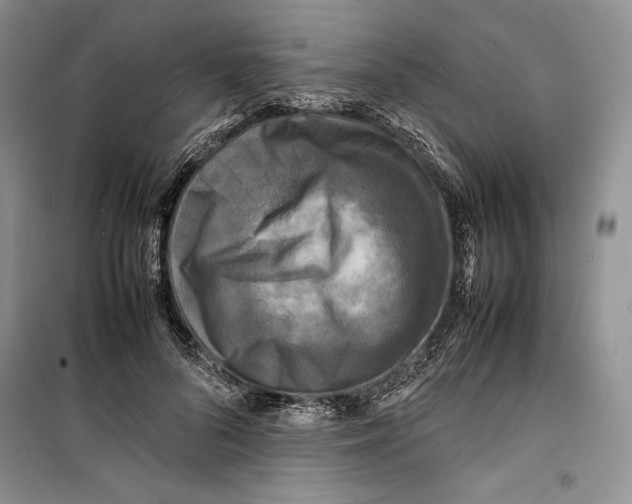 X0000099460696200806061129