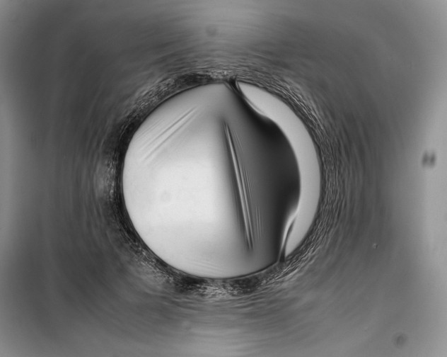 X0000099460697200806061129