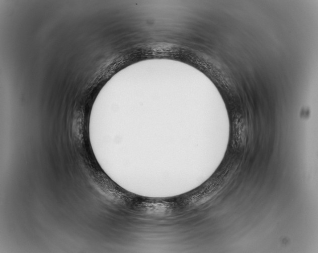 X0000099460698200806061129