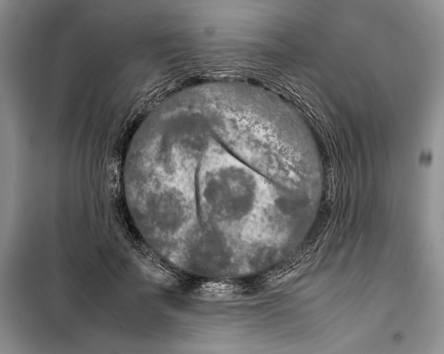 X0000099460699200806061129