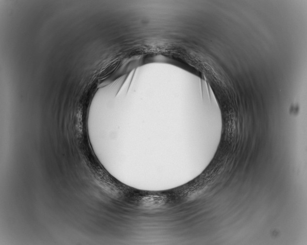 X0000099460700200806061129