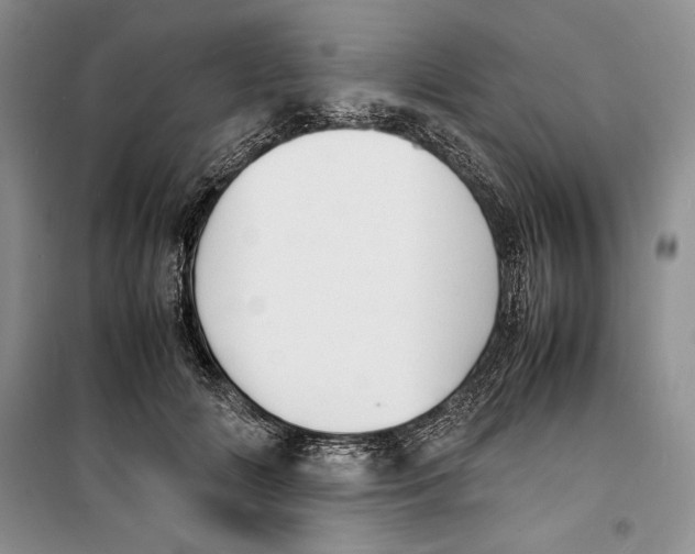 X0000099460702200806061129