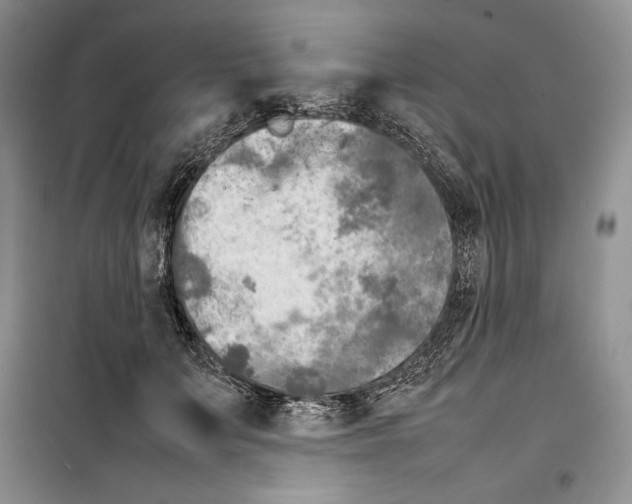 X0000099460703200806061129