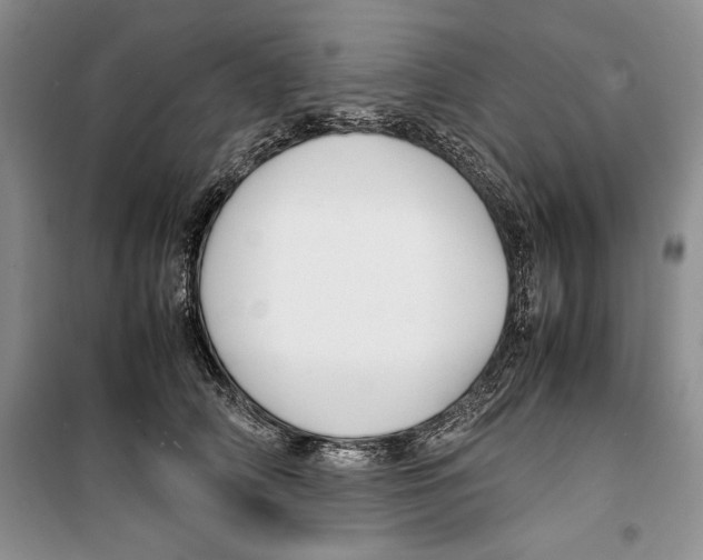 X0000099460706200806061129