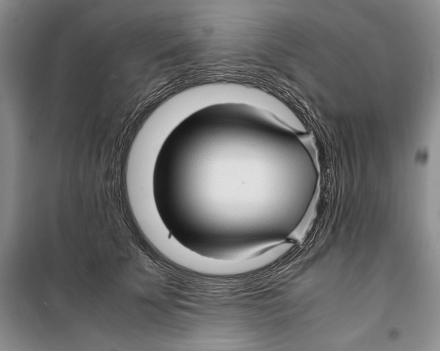 X0000099460707200806061129