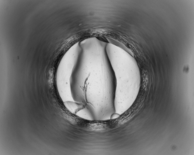 X0000099460708200806061129