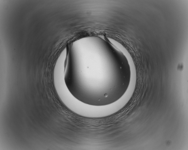 X0000099460709200806061129