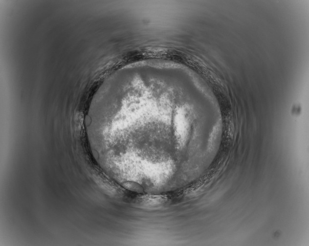 X0000099460711200806061129