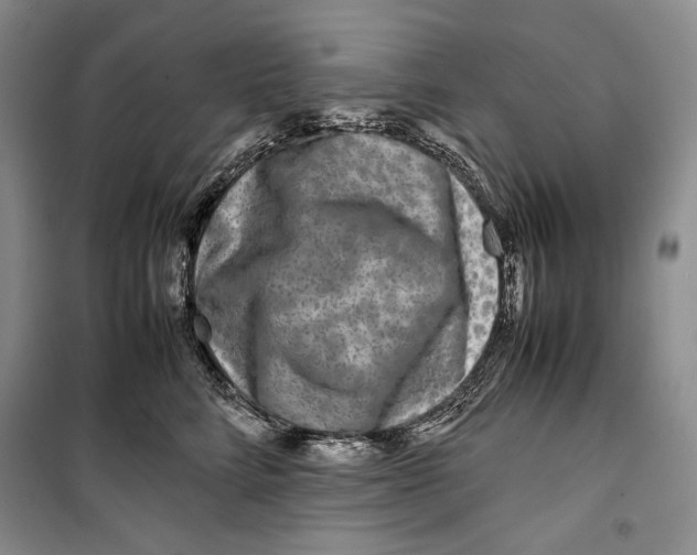 X0000099460712200806061129