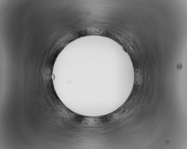 X0000099460713200806061129