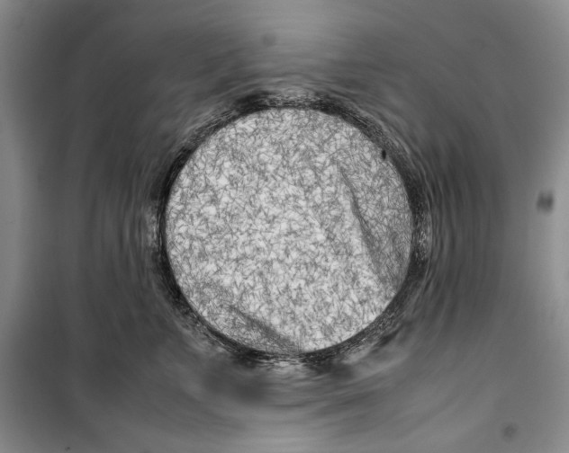 X0000099460715200806061129