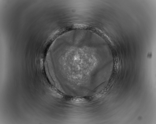 X0000099460716200806061129