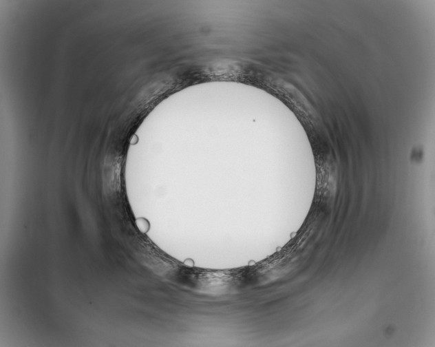 X0000099460717200806061129