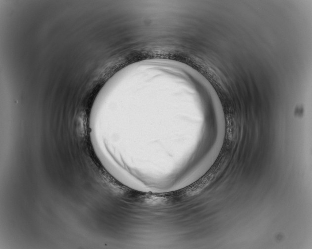 X0000099460718200806061129