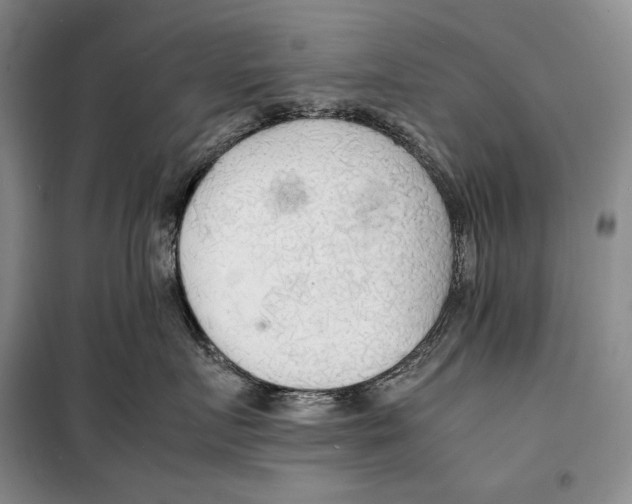 X0000099460719200806061129