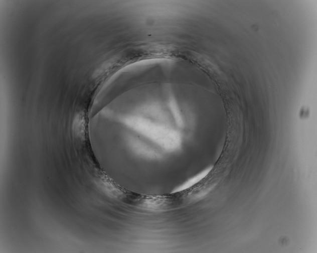 X0000099460720200806061129