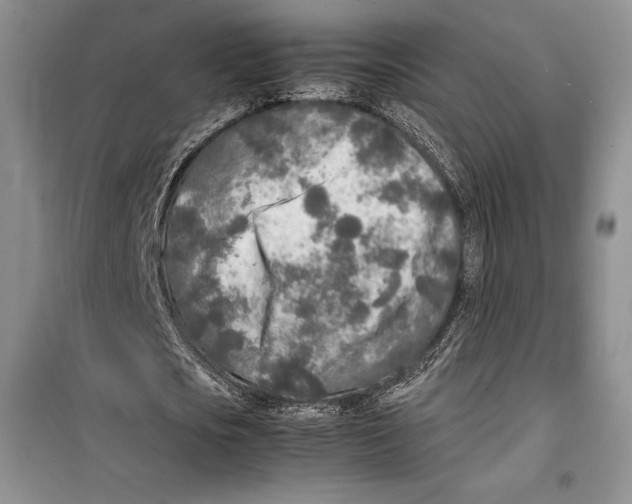 X0000099460721200806061128