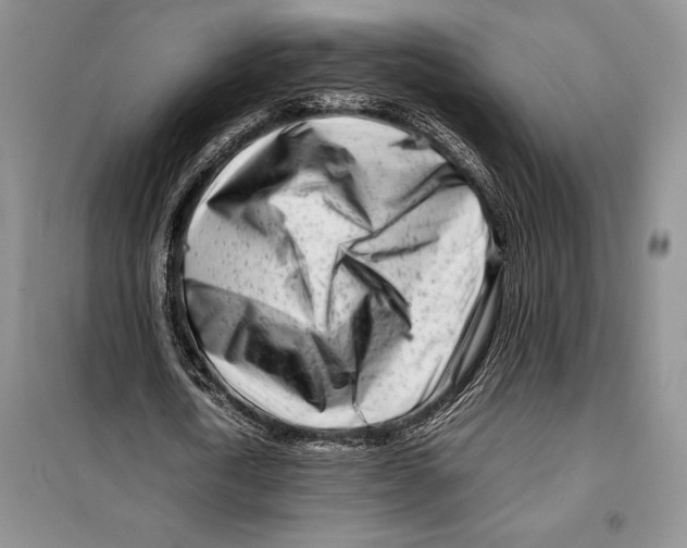 X0000099460722200806061128