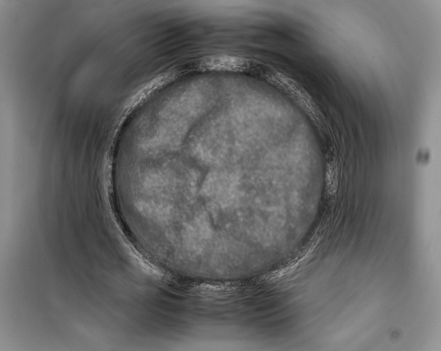 X0000099460725200806061128