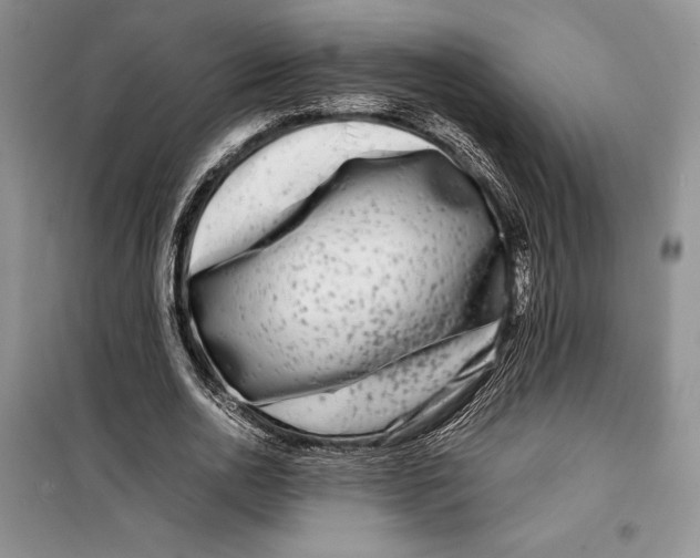 X0000099460726200806061128