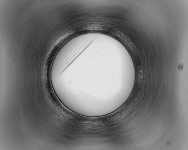 X0000099460727200806061128