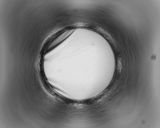 X0000099460730200806061128