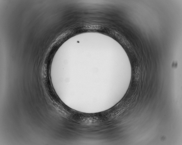 X0000099460731200806061128