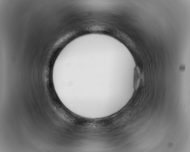 X0000099460732200806061128