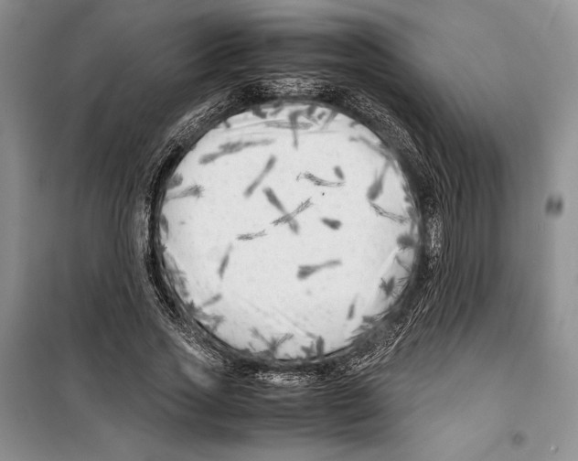 X0000099460733200806061128