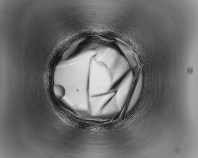 X0000099460736200806061128