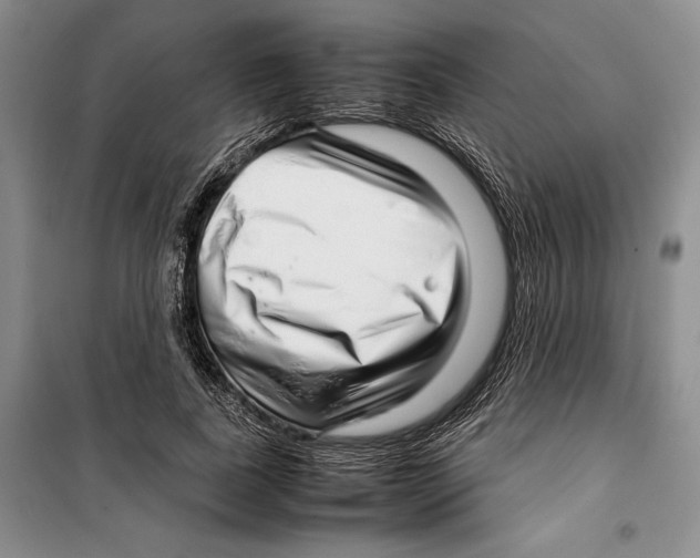 X0000099460739200806061128