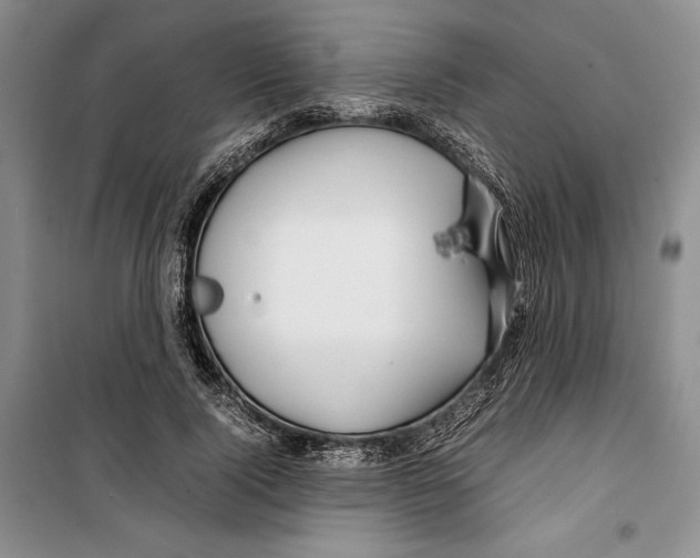 X0000099460740200806061128