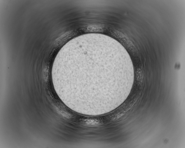 X0000099460741200806061128