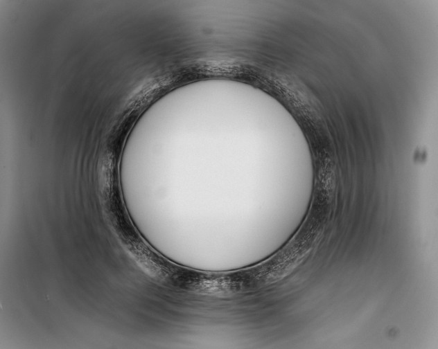 X0000099460744200806061128