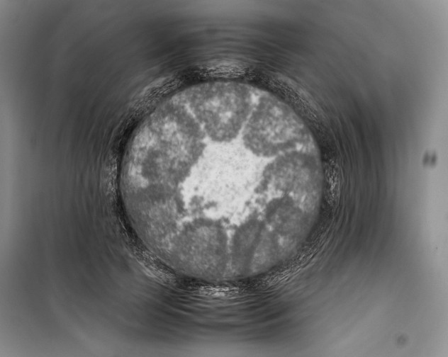 X0000099460745200806061128