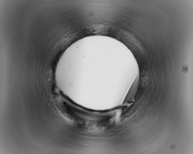 X0000099460748200806061128