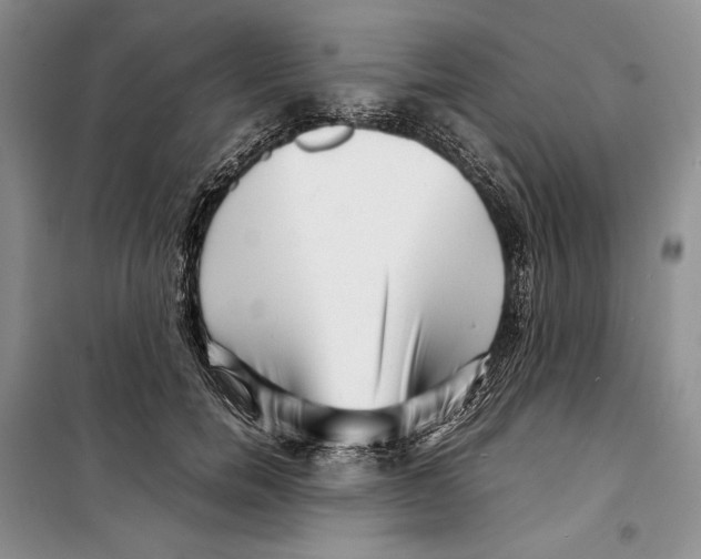 X0000099460750200806061128