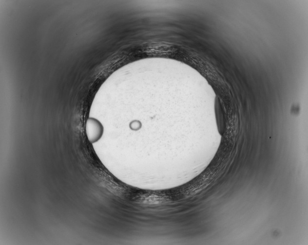 X0000099460755200806061129