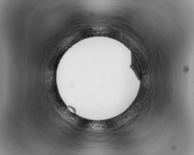 X0000099460756200806061129