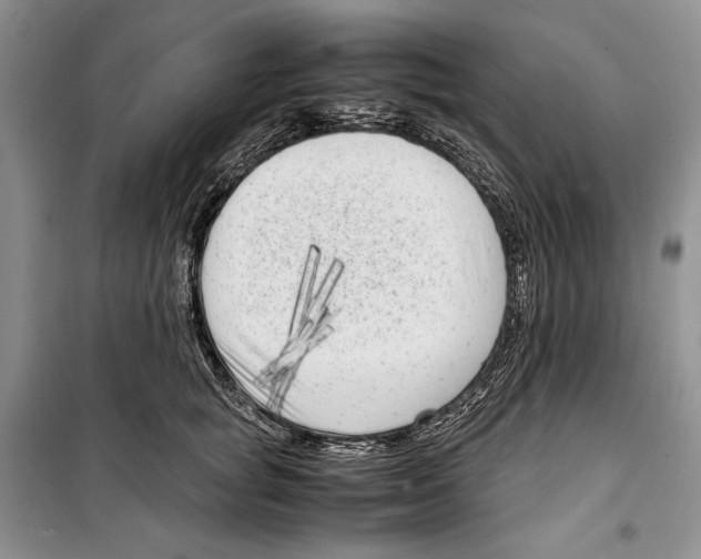 X0000099460757200806061129