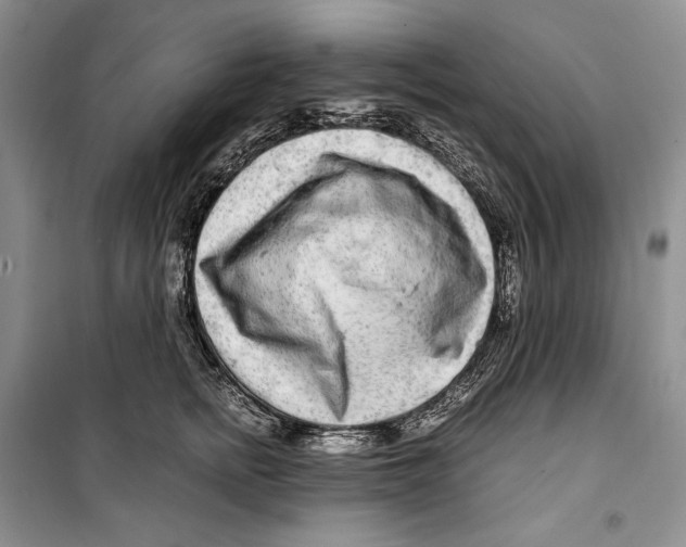 X0000099460758200806061129