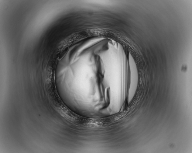 X0000099460760200806061129