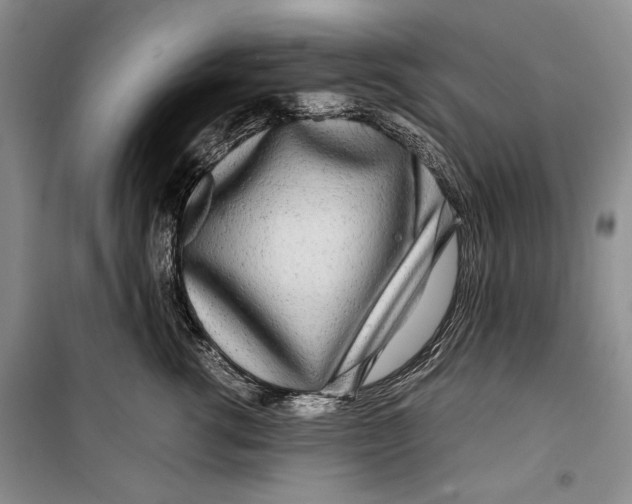 X0000099460762200806061129