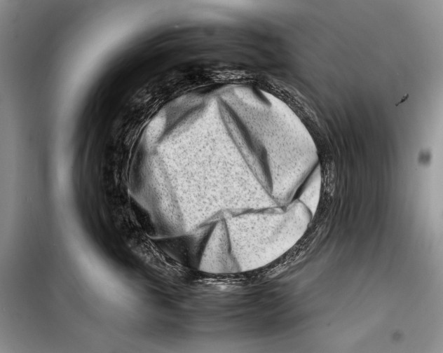 X0000099460763200806061129