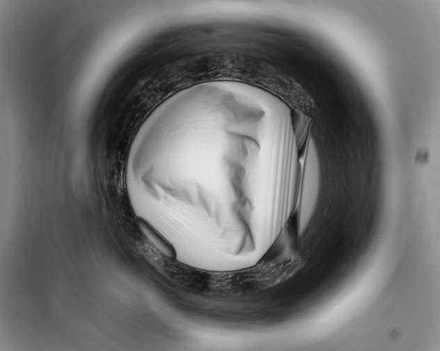 X0000099460766200806061129