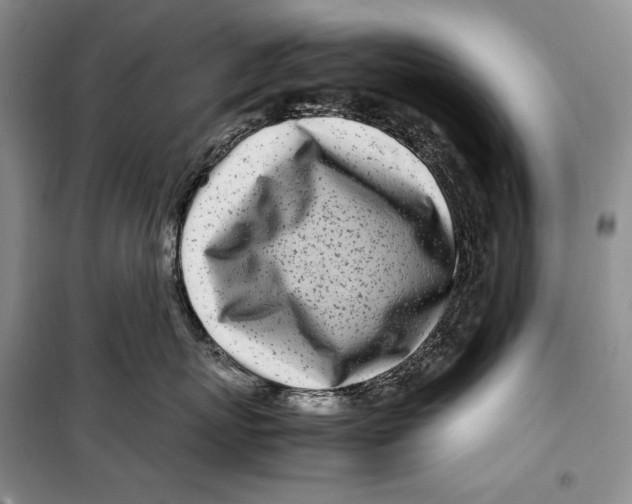 X0000099460767200806061129