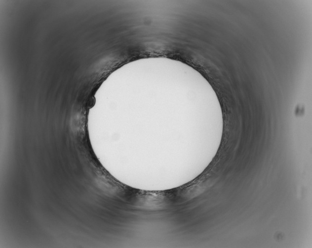 X0000099460768200806061129