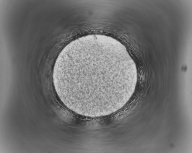 X0000099460769200806061128